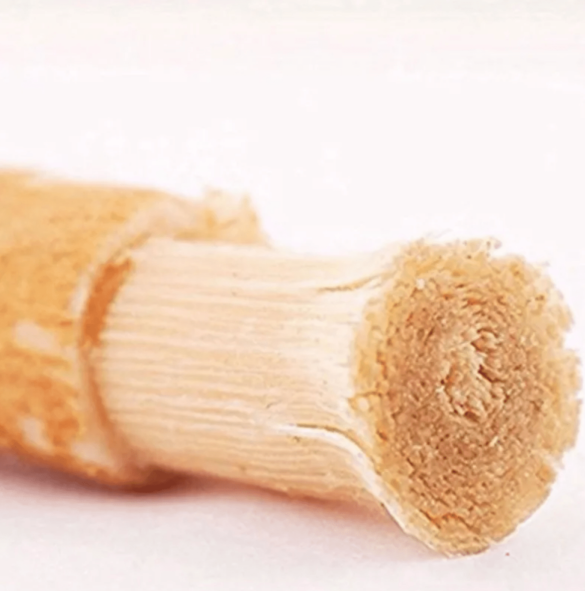 Bâton de nettoyage des dents Miswak - Feebella