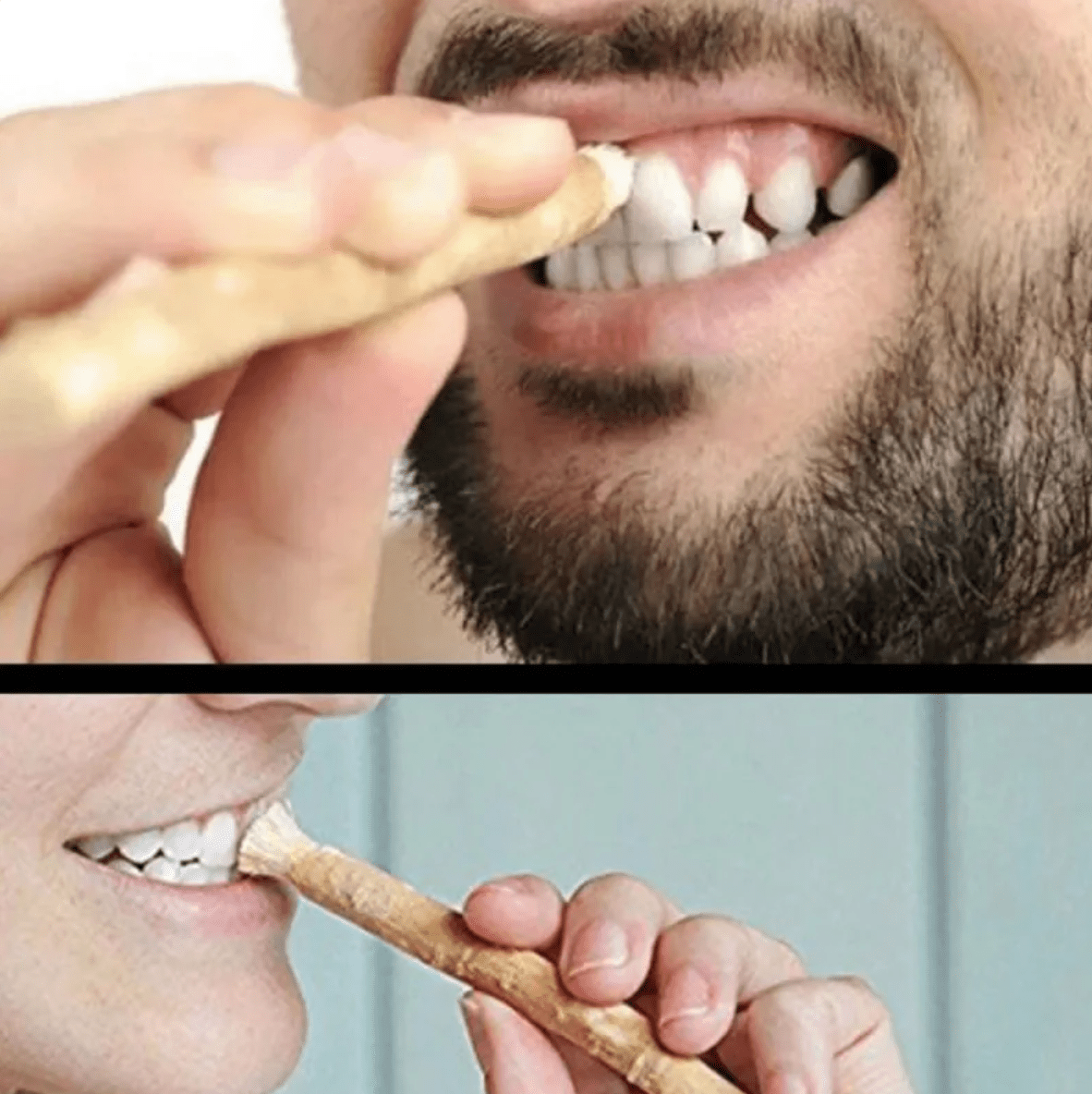 Bâton de nettoyage des dents Miswak - Feebella