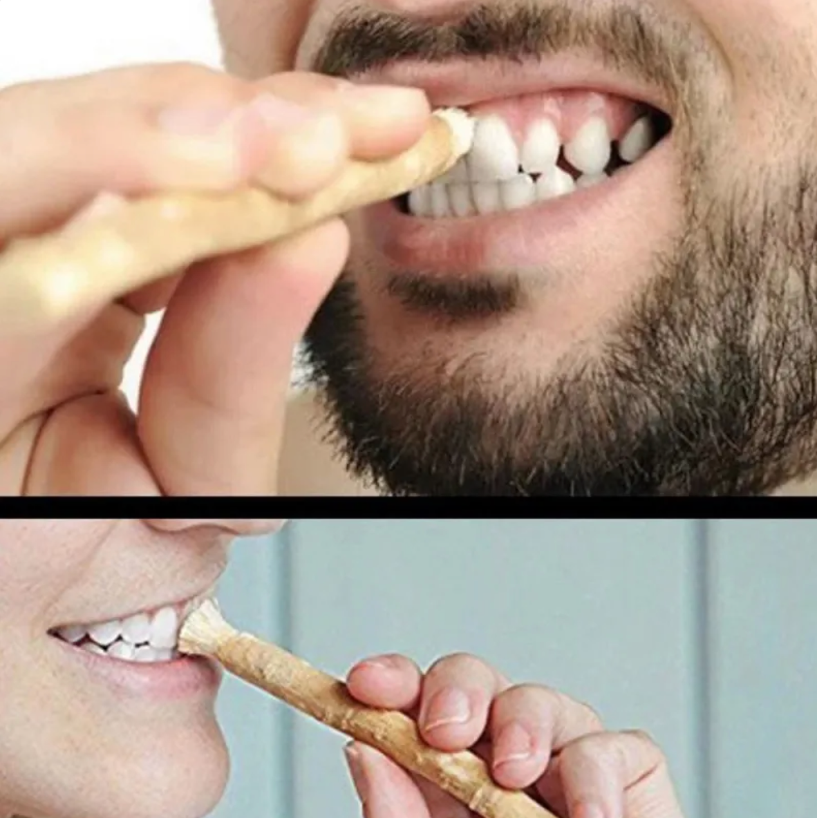 Bâton de nettoyage des dents Miswak